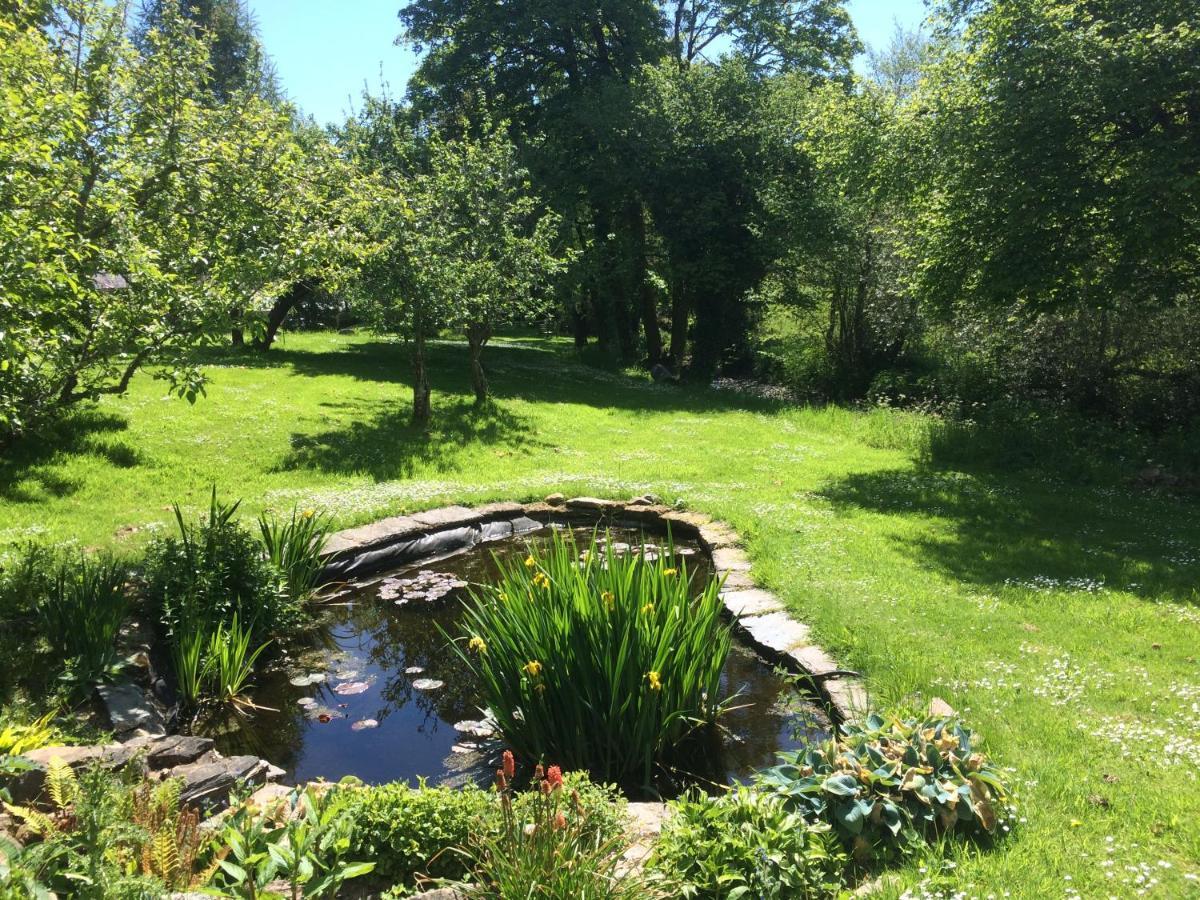 Bow Mill Farm Bed & Breakfast Totnes Eksteriør bilde
