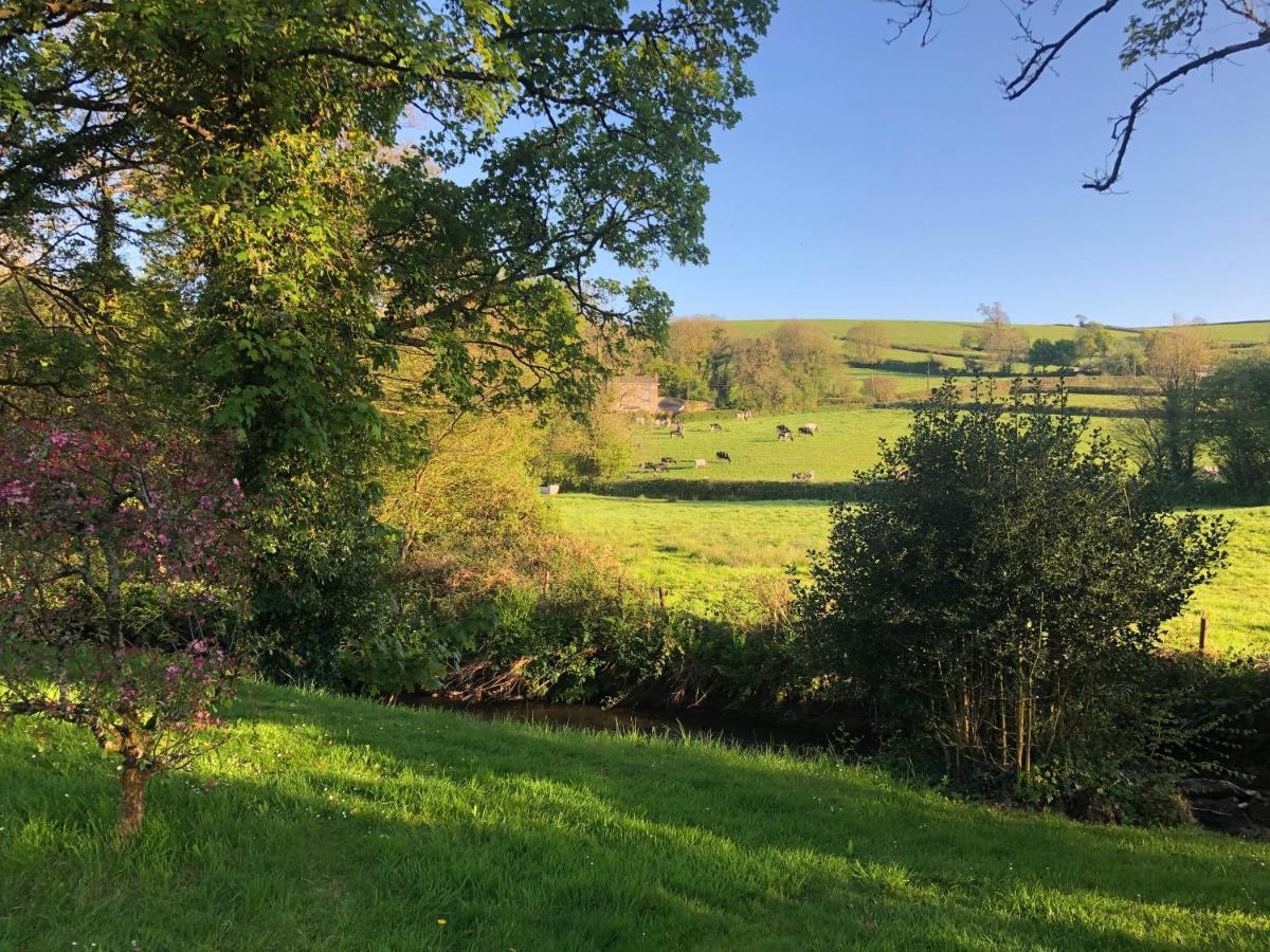 Bow Mill Farm Bed & Breakfast Totnes Eksteriør bilde